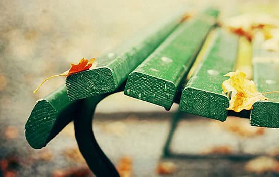 Bench